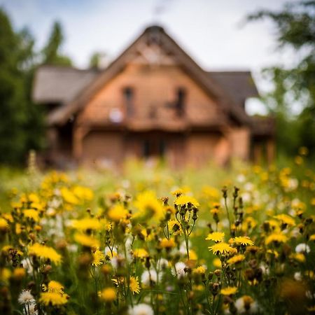 Bed and Breakfast Brzozowy Gaj Glowczyce Exterior foto
