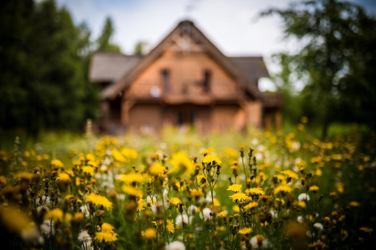 Bed and Breakfast Brzozowy Gaj Glowczyce Exterior foto