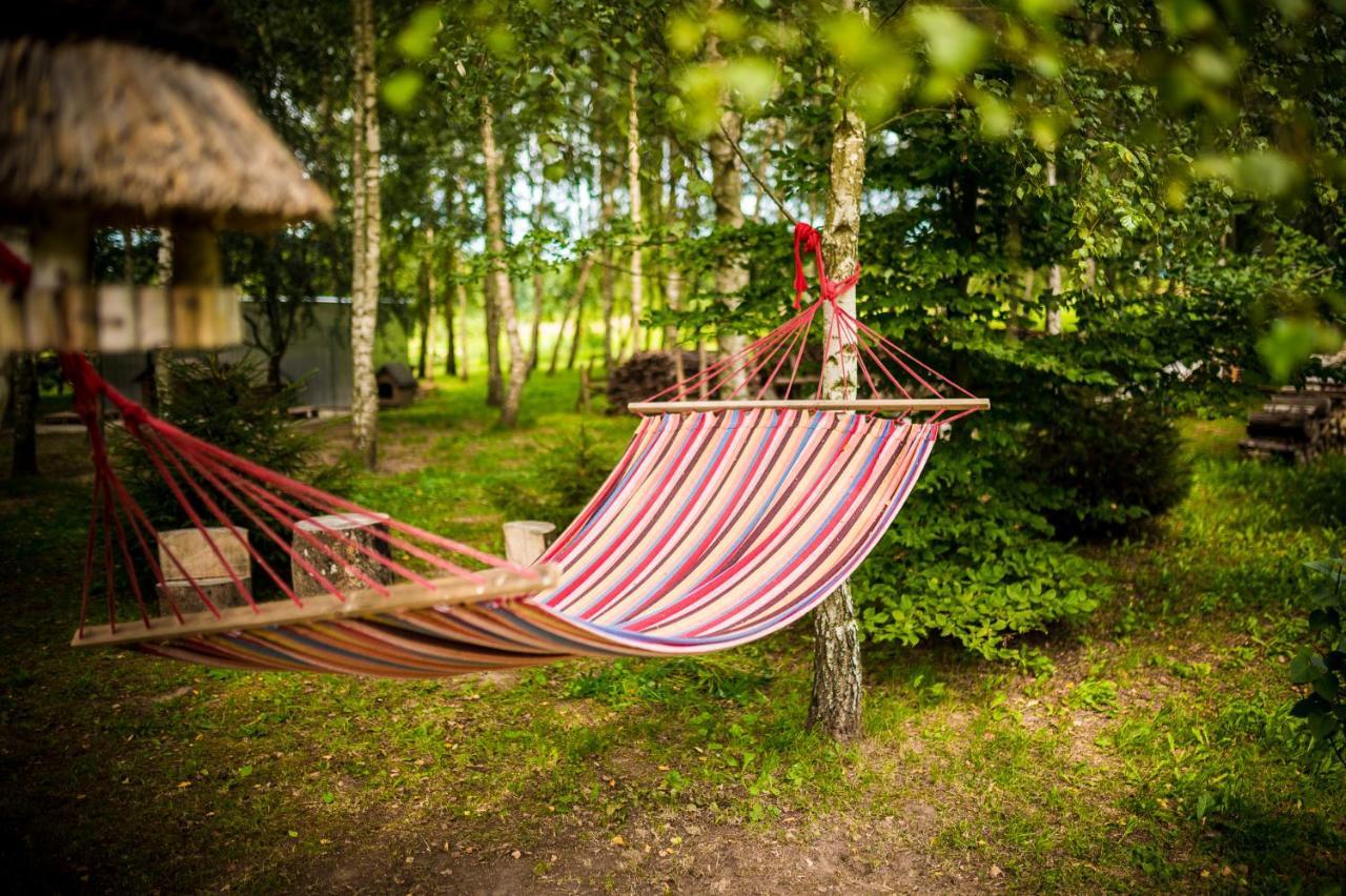 Bed and Breakfast Brzozowy Gaj Glowczyce Exterior foto