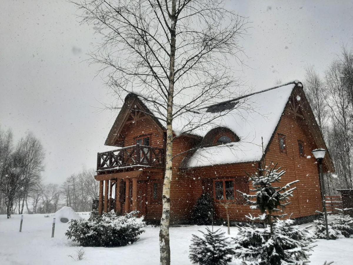 Bed and Breakfast Brzozowy Gaj Glowczyce Exterior foto