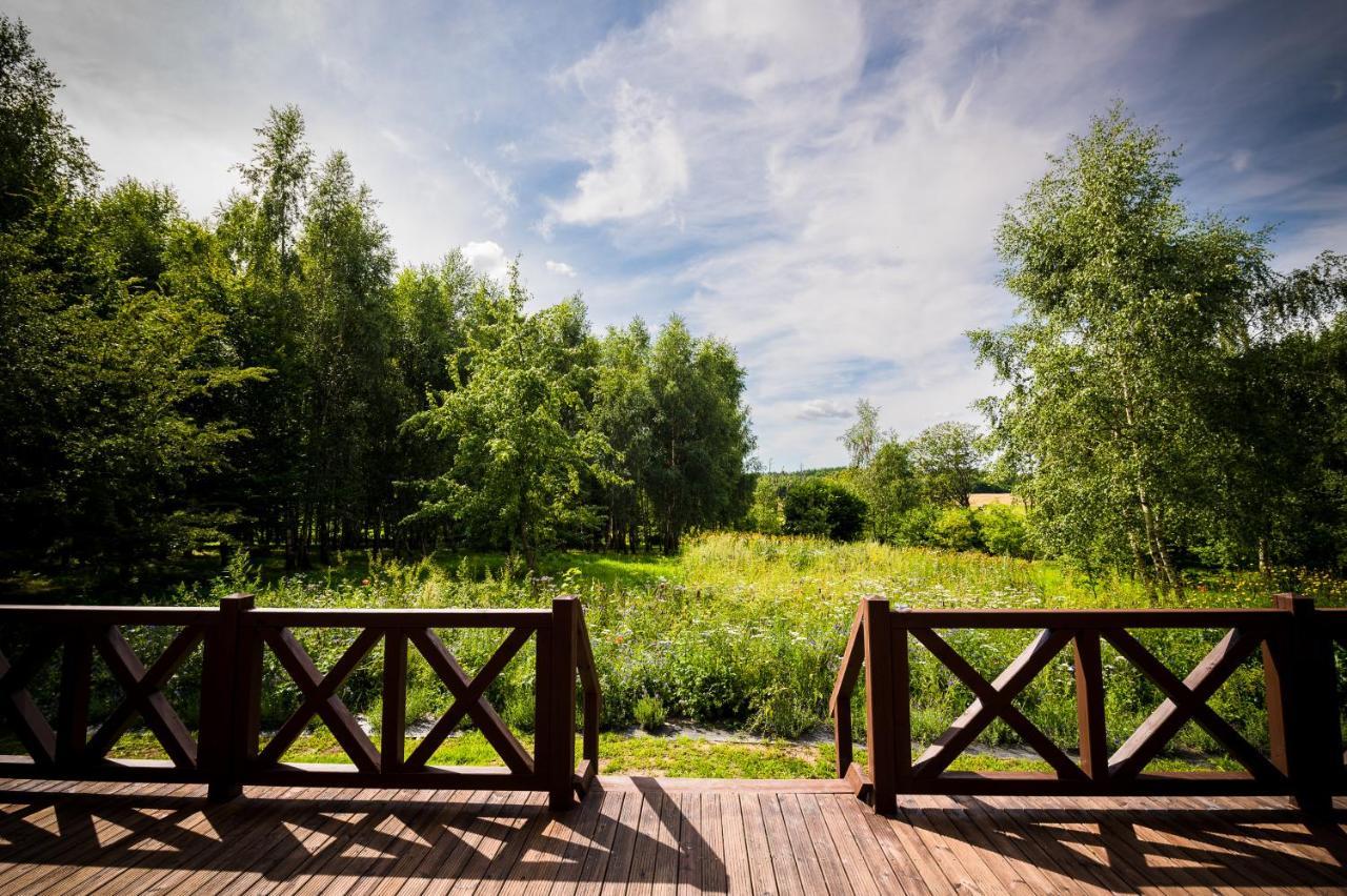 Bed and Breakfast Brzozowy Gaj Glowczyce Exterior foto